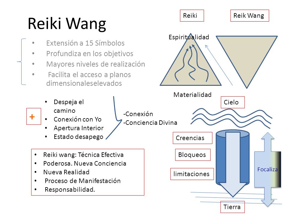 Reiki Wang + Extensión a 15 Símbolos Profundiza en los objetivos