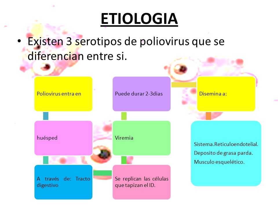 ETIOLOGIA Existen 3 serotipos de poliovirus que se diferencian entre si. Poliovirus entra en. huésped.