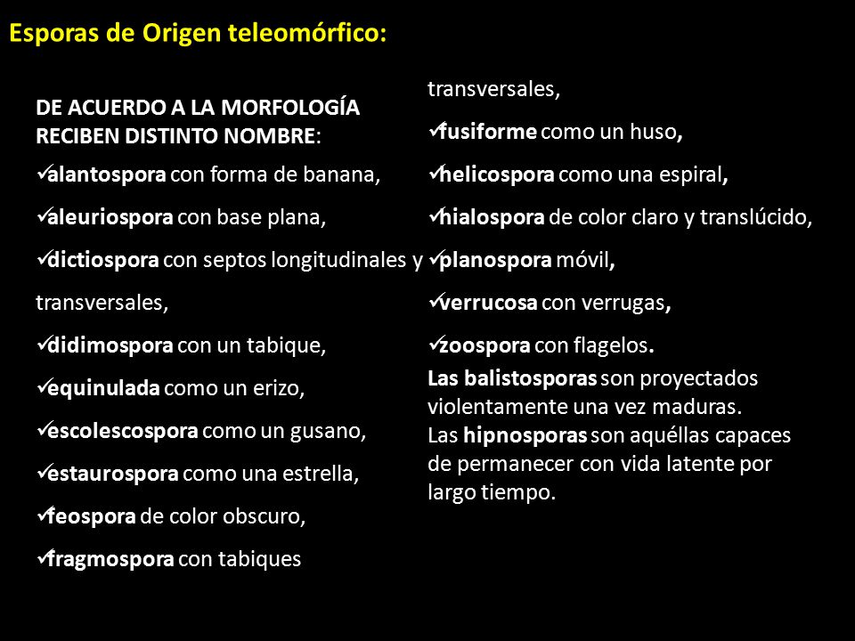 Esporas de Origen teleomórfico: