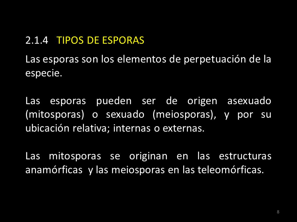 2.1.4 TIPOS DE ESPORAS Las esporas son los elementos de perpetuación de la especie.