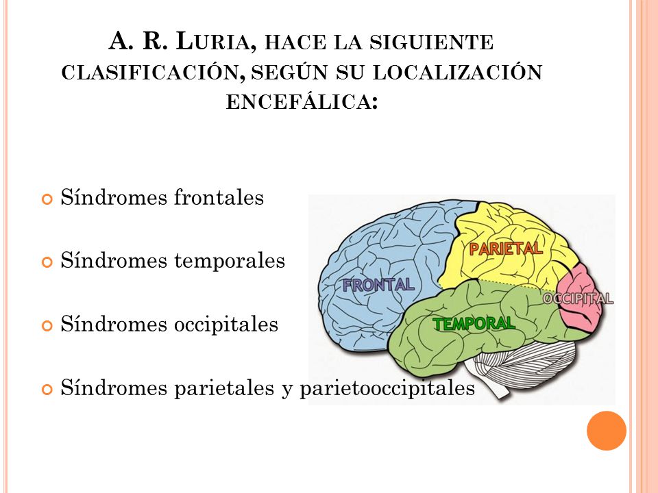 A. R. Luria, hace la siguiente clasificación, según su localización encefálica:
