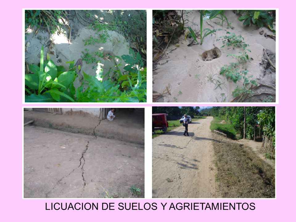 LICUACION DE SUELOS Y AGRIETAMIENTOS