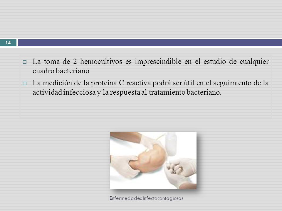 La toma de 2 hemocultivos es imprescindible en el estudio de cualquier cuadro bacteriano