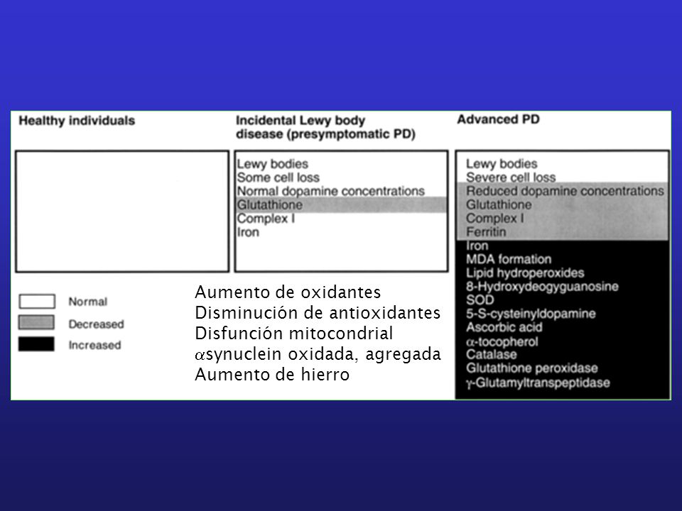 Aumento de oxidantes Disminución de antioxidantes. Disfunción mitocondrial. synuclein oxidada, agregada.