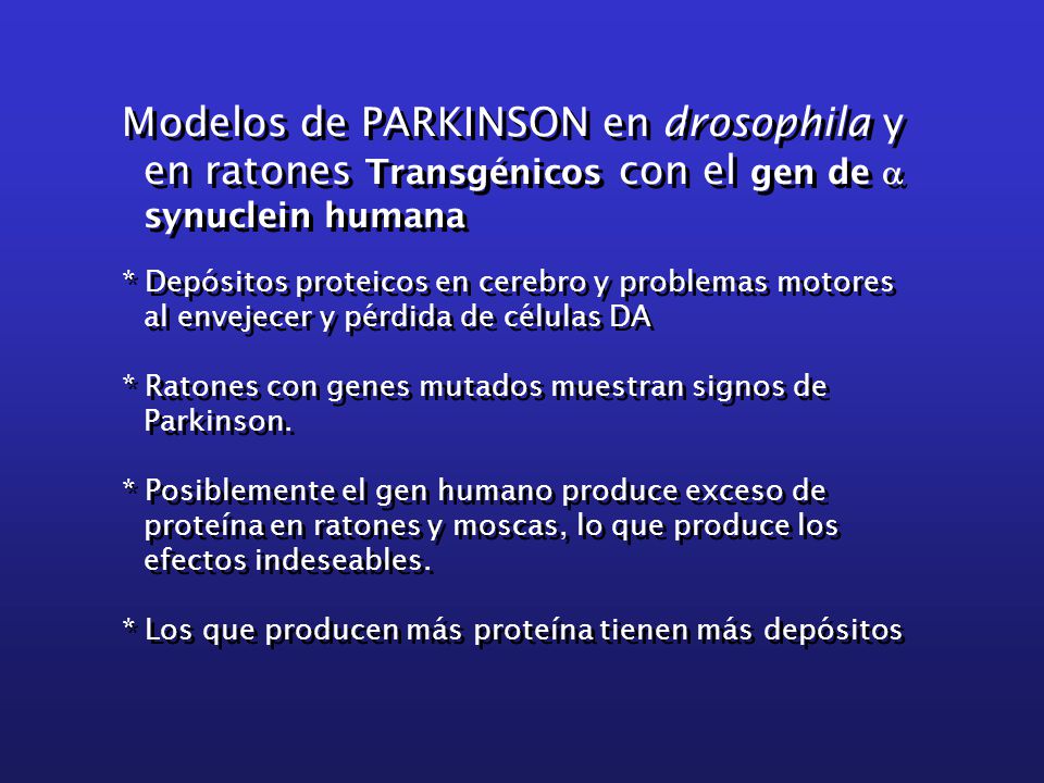 Modelos de PARKINSON en drosophila y en ratones Transgénicos con el gen de a synuclein humana