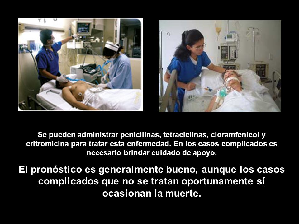 Se pueden administrar penicilinas, tetraciclinas, cloramfenicol y eritromicina para tratar esta enfermedad. En los casos complicados es necesario brindar cuidado de apoyo.