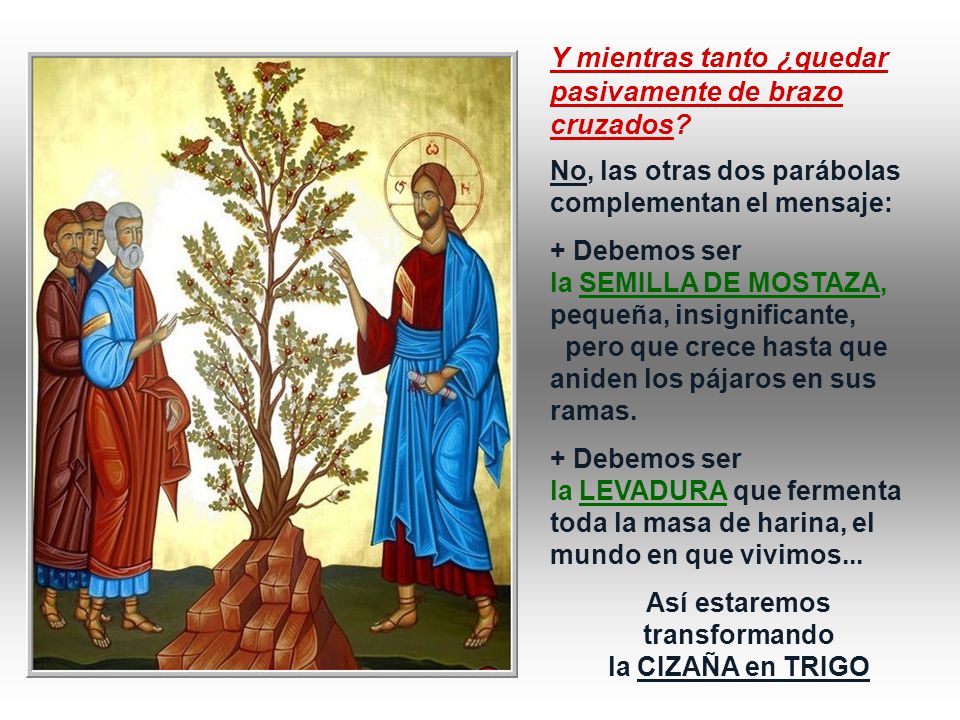 Así estaremos transformando la CIZAÑA en TRIGO