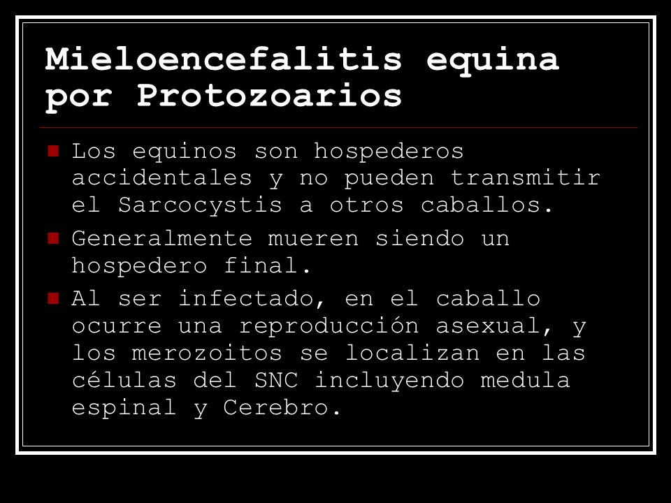 Mieloencefalitis equina por Protozoarios