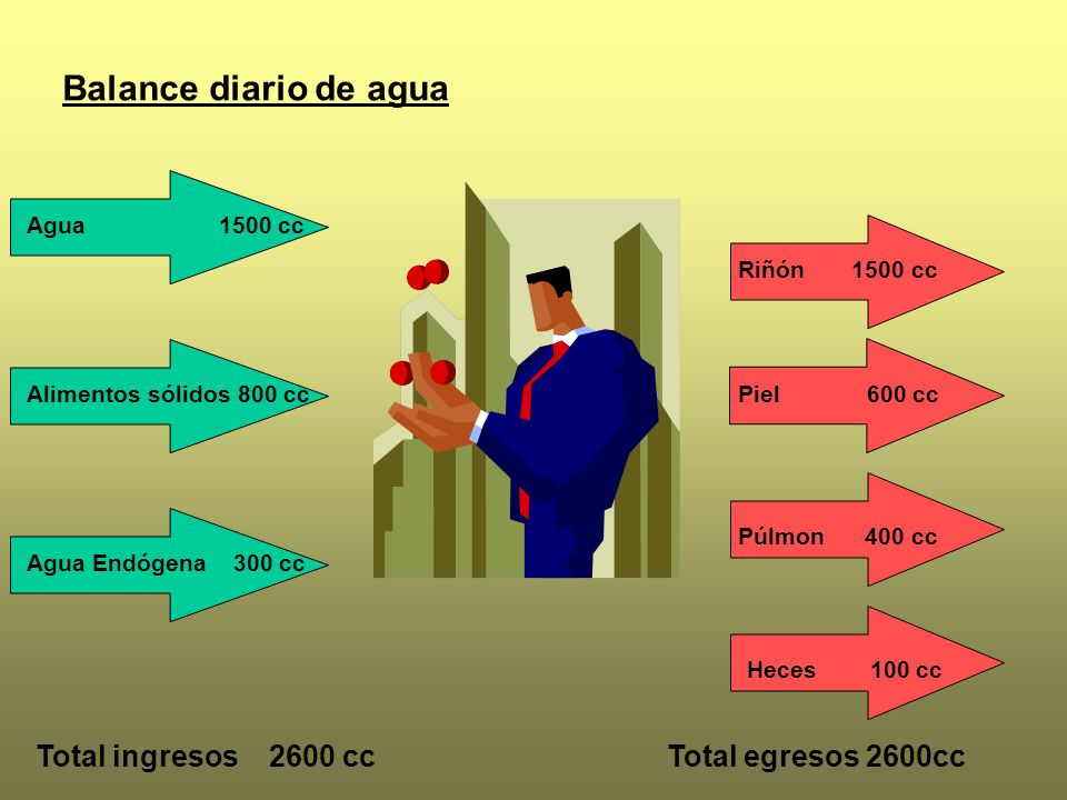 Balance diario de agua Total ingresos 2600 cc Total egresos 2600cc