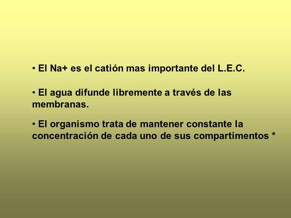 El Na+ es el catión mas importante del L.E.C.