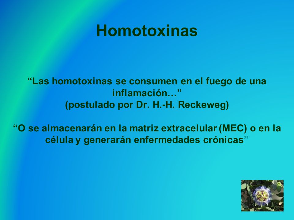 Homotoxinas Las homotoxinas se consumen en el fuego de una inflamación… (postulado por Dr. H.-H. Reckeweg) O se almacenarán en la matriz extracelular (MEC) o en la célula y generarán enfermedades crónicas