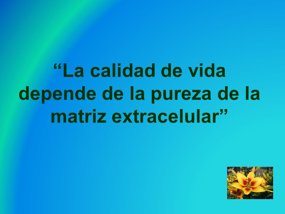 La calidad de vida depende de la pureza de la matriz extracelular