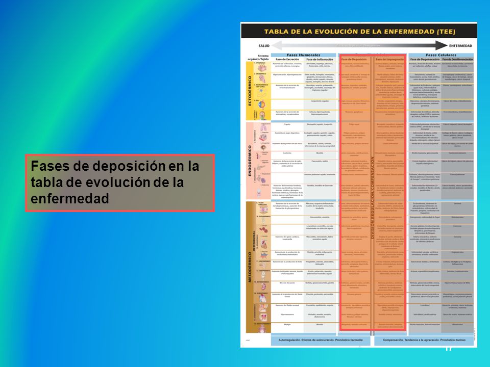 Fases de deposición en la tabla de evolución de la enfermedad