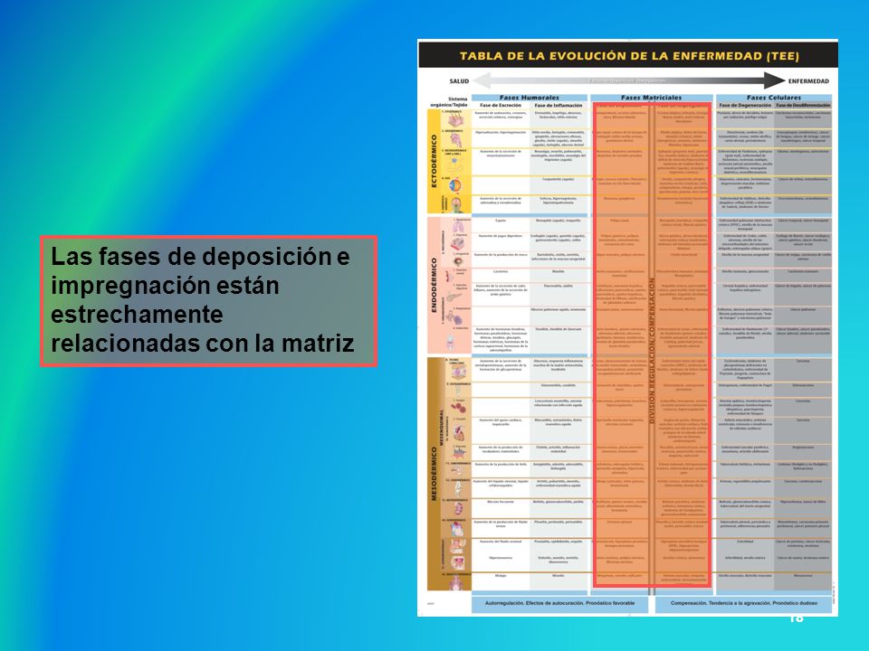 Las fases de deposición e impregnación están estrechamente relacionadas con la matriz