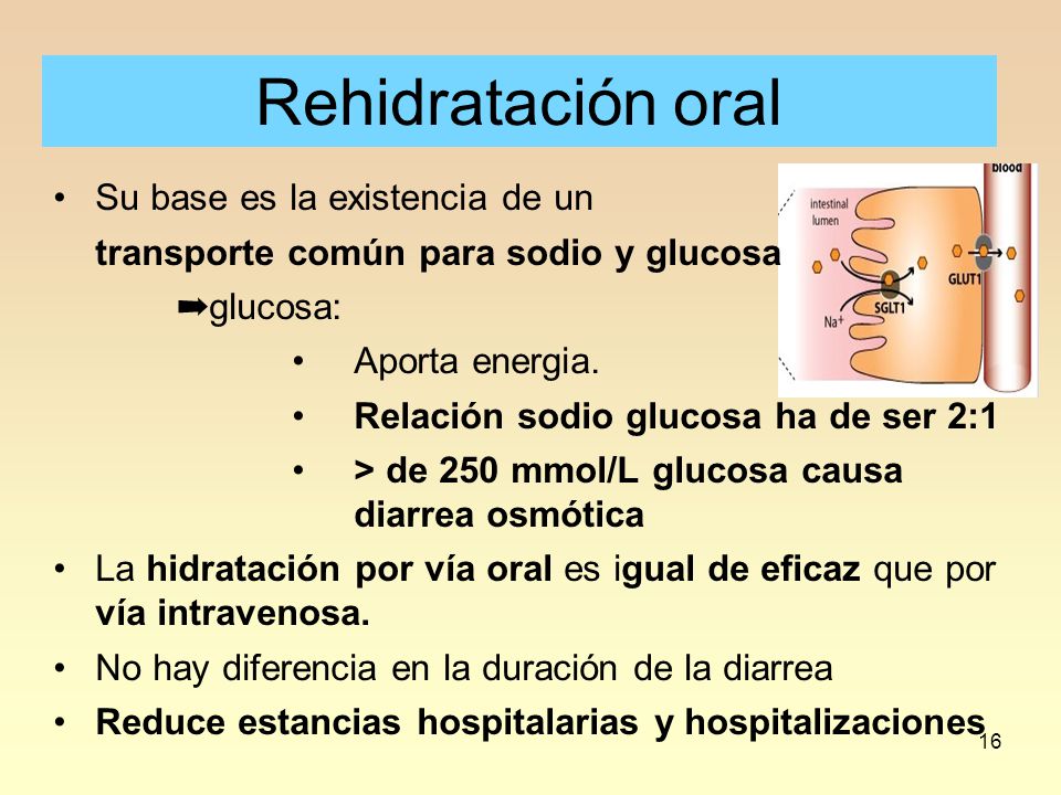 Rehidratación oral Su base es la existencia de un