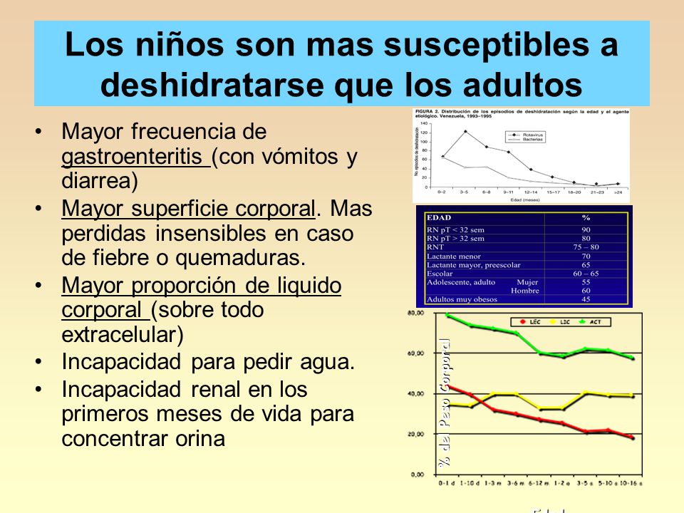 Los niños son mas susceptibles a deshidratarse que los adultos