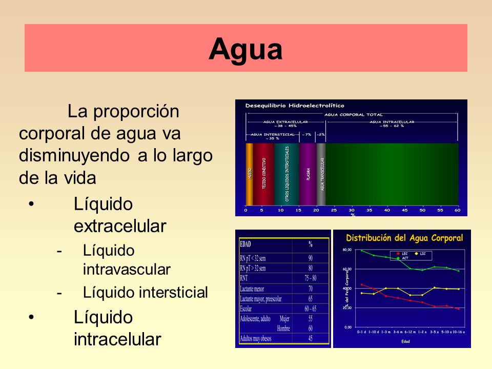 Agua La proporción corporal de agua va disminuyendo a lo largo de la vida. Líquido extracelular.