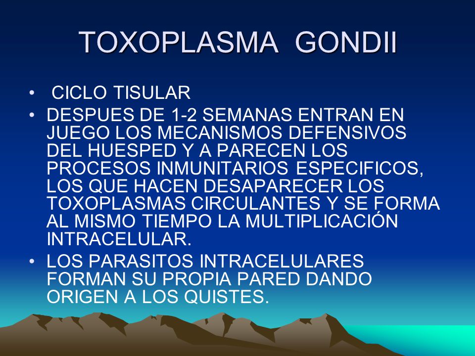 TOXOPLASMA GONDII CICLO TISULAR