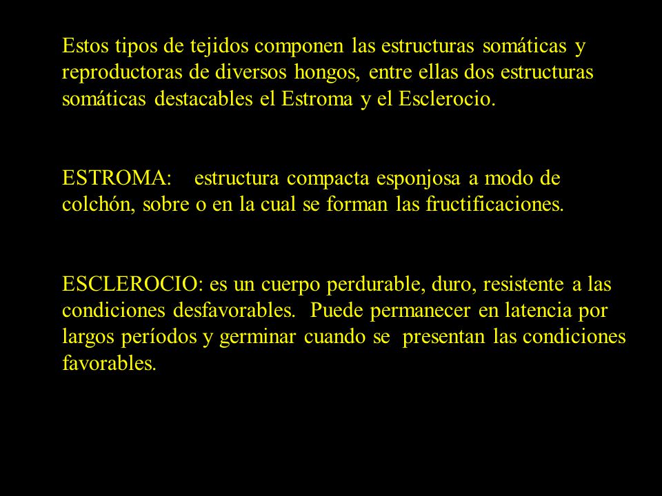 Estos tipos de tejidos componen las estructuras somáticas y reproductoras de diversos hongos, entre ellas dos estructuras somáticas destacables el Estroma y el Esclerocio.