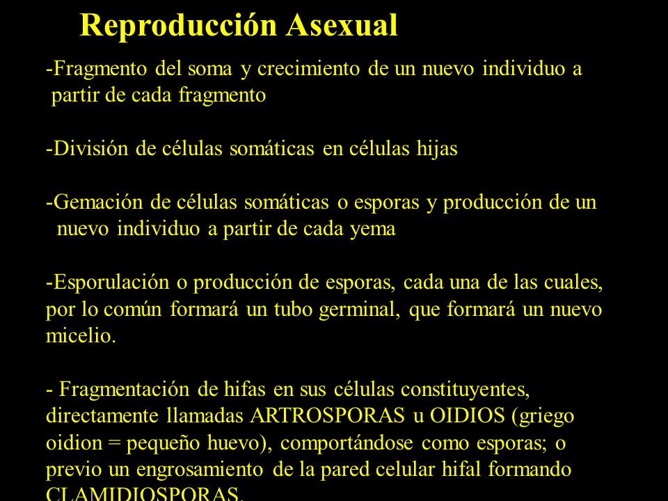 Reproducción Asexual Fragmento del soma y crecimiento de un nuevo individuo a. partir de cada fragmento.