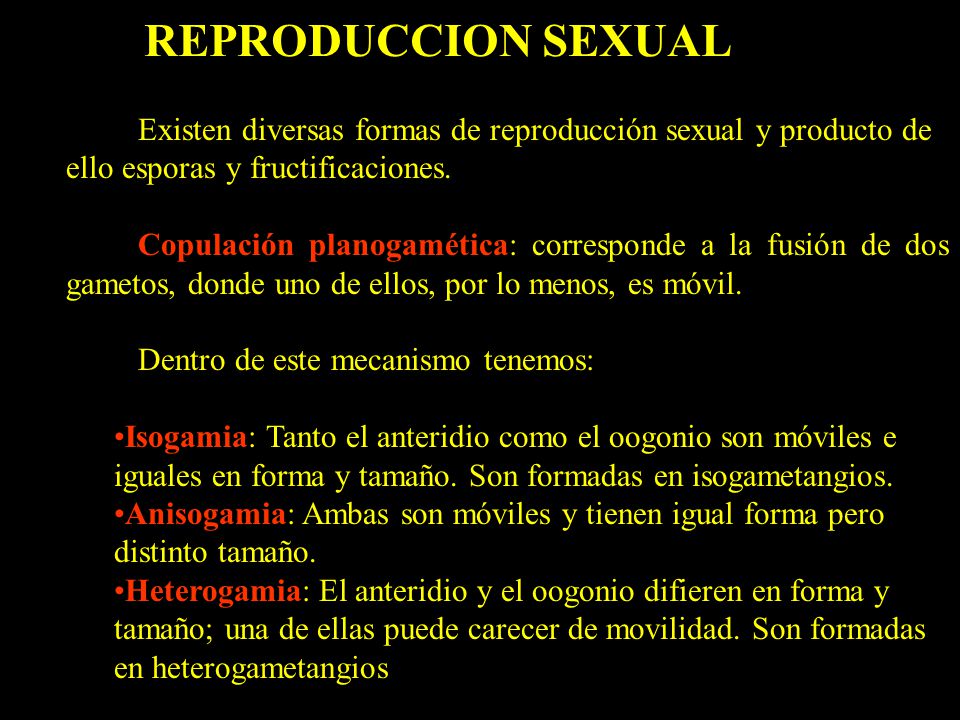 REPRODUCCION SEXUAL Existen diversas formas de reproducción sexual y producto de ello esporas y fructificaciones.