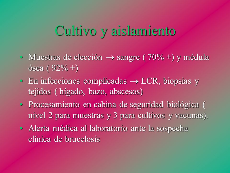 Cultivo y aislamiento Muestras de elección  sangre ( 70% +) y médula ósea ( 92% +)