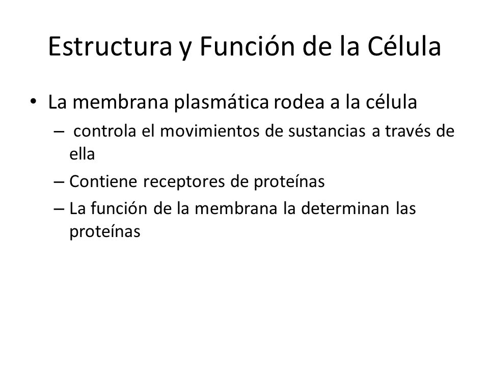 Estructura y Función de la Célula