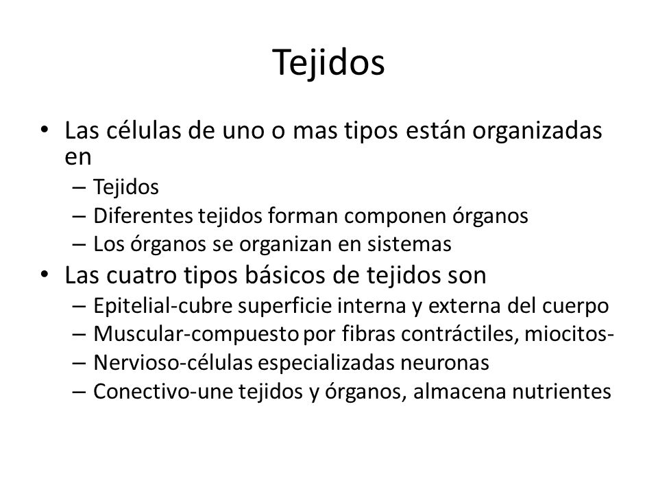 Tejidos Las células de uno o mas tipos están organizadas en