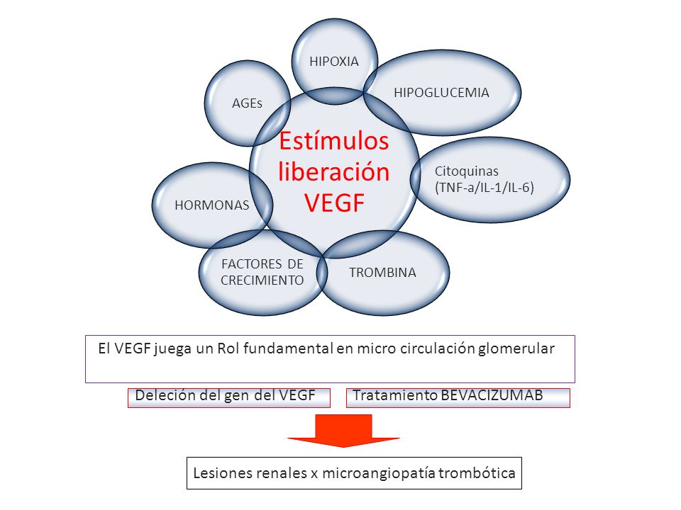 El VEGF juega un Rol fundamental en micro circulación glomerular