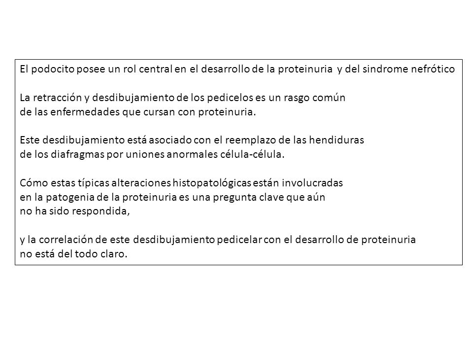 El podocito posee un rol central en el desarrollo de la proteinuria y del sindrome nefrótico