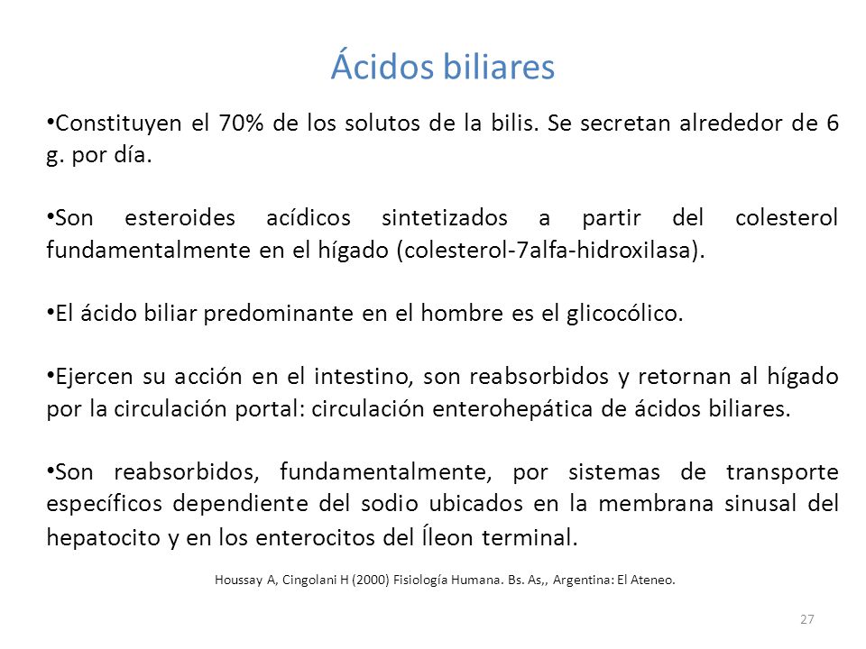 Ácidos biliares Constituyen el 70% de los solutos de la bilis. Se secretan alrededor de 6 g. por día.