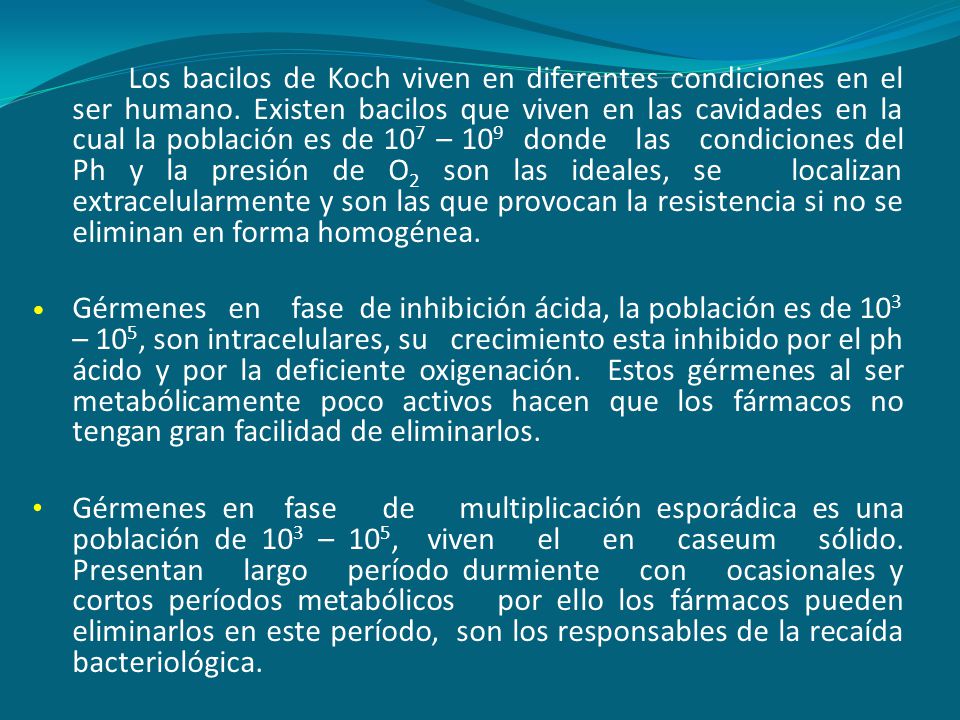 Los bacilos de Koch viven en diferentes condiciones en el ser humano