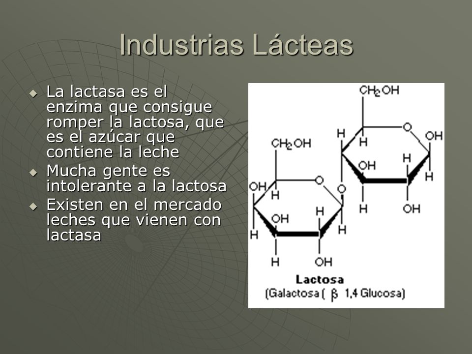 Industrias Lácteas La lactasa es el enzima que consigue romper la lactosa, que es el azúcar que contiene la leche.