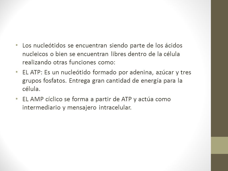 Los nucleótidos se encuentran siendo parte de los ácidos nucleicos o bien se encuentran libres dentro de la célula realizando otras funciones como: