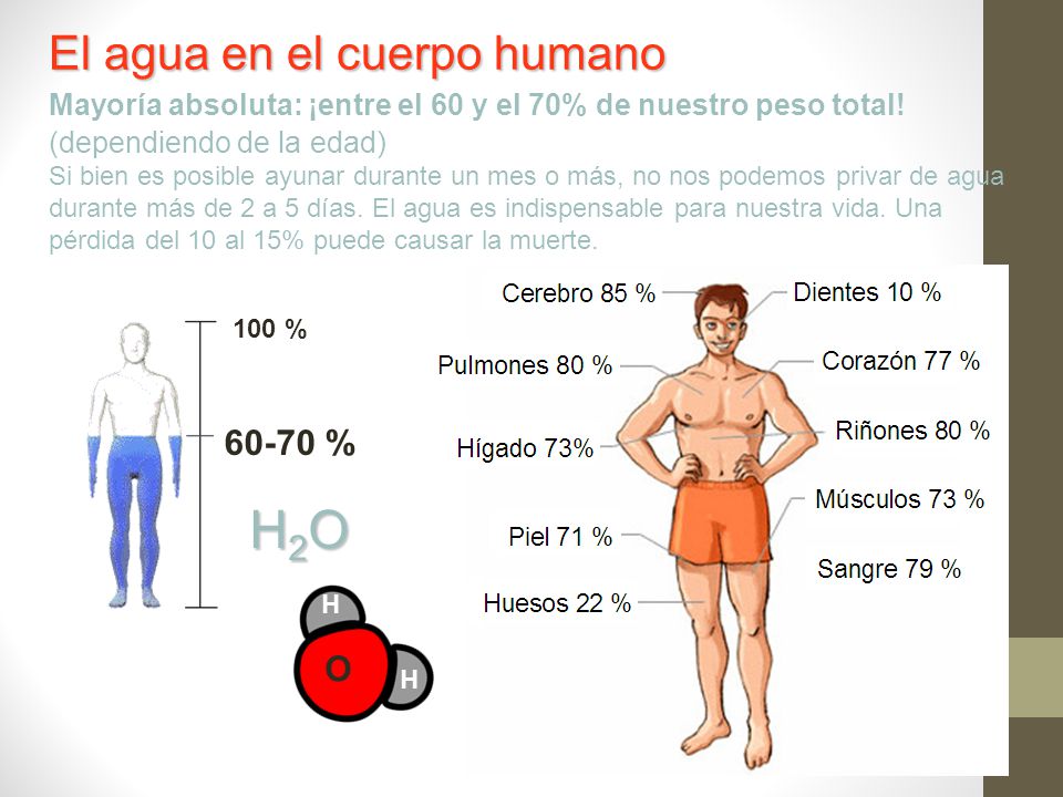 El agua en el cuerpo humano Mayoría absoluta: ¡entre el 60 y el 70% de nuestro peso total! (dependiendo de la edad) Si bien es posible ayunar durante un mes o más, no nos podemos privar de agua durante más de 2 a 5 días. El agua es indispensable para nuestra vida. Una pérdida del 10 al 15% puede causar la muerte.