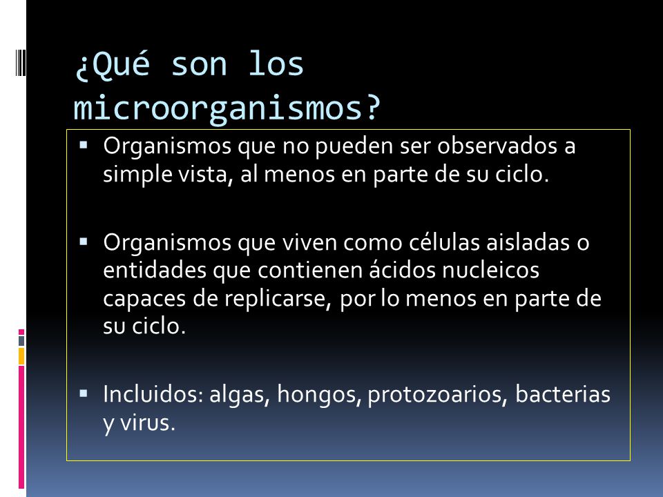 ¿Qué son los microorganismos