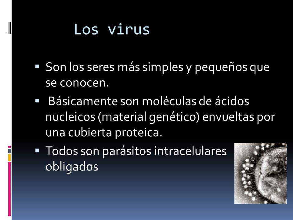 Los virus Son los seres más simples y pequeños que se conocen.