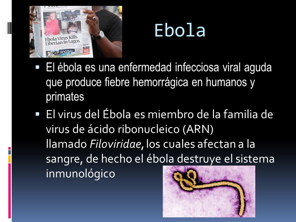 Ebola El ébola es una enfermedad infecciosa viral aguda que produce fiebre hemorrágica en humanos y primates.