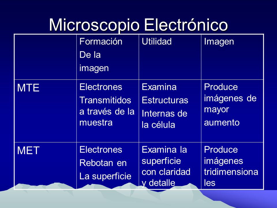 Ejemplo escanear reemplazar Historia de la Biología - ppt video online descargar