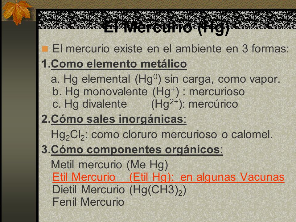 El Mercurio (Hg) El mercurio existe en el ambiente en 3 formas: