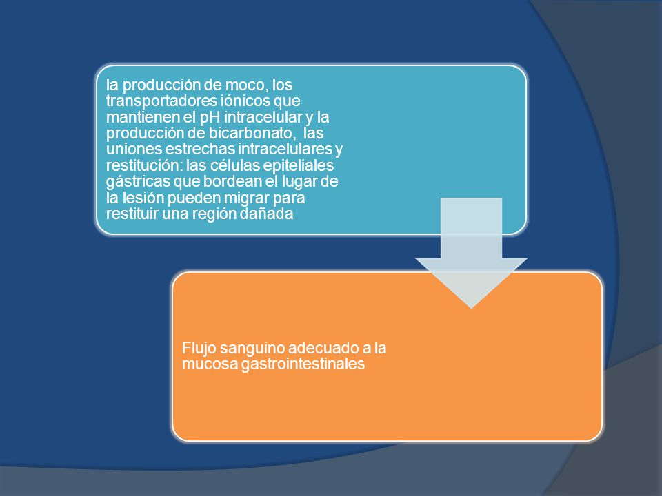 la producción de moco, los transportadores iónicos que mantienen el pH intracelular y la producción de bicarbonato, las uniones estrechas intracelulares y restitución: las células epiteliales gástricas que bordean el lugar de la lesión pueden migrar para restituir una región dañada