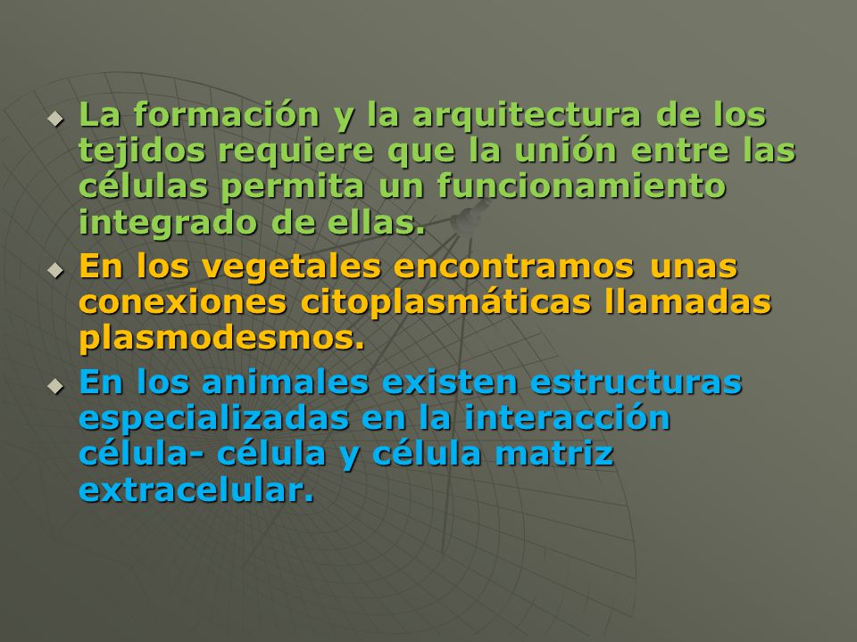 La formación y la arquitectura de los tejidos requiere que la unión entre las células permita un funcionamiento integrado de ellas.