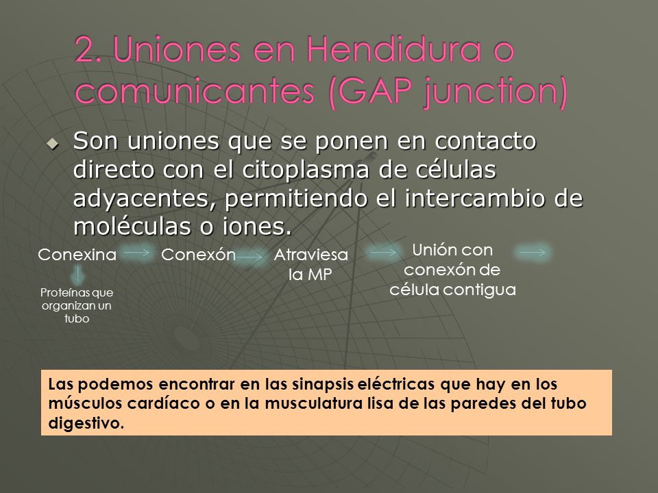 Son uniones que se ponen en contacto directo con el citoplasma de células adyacentes, permitiendo el intercambio de moléculas o iones.