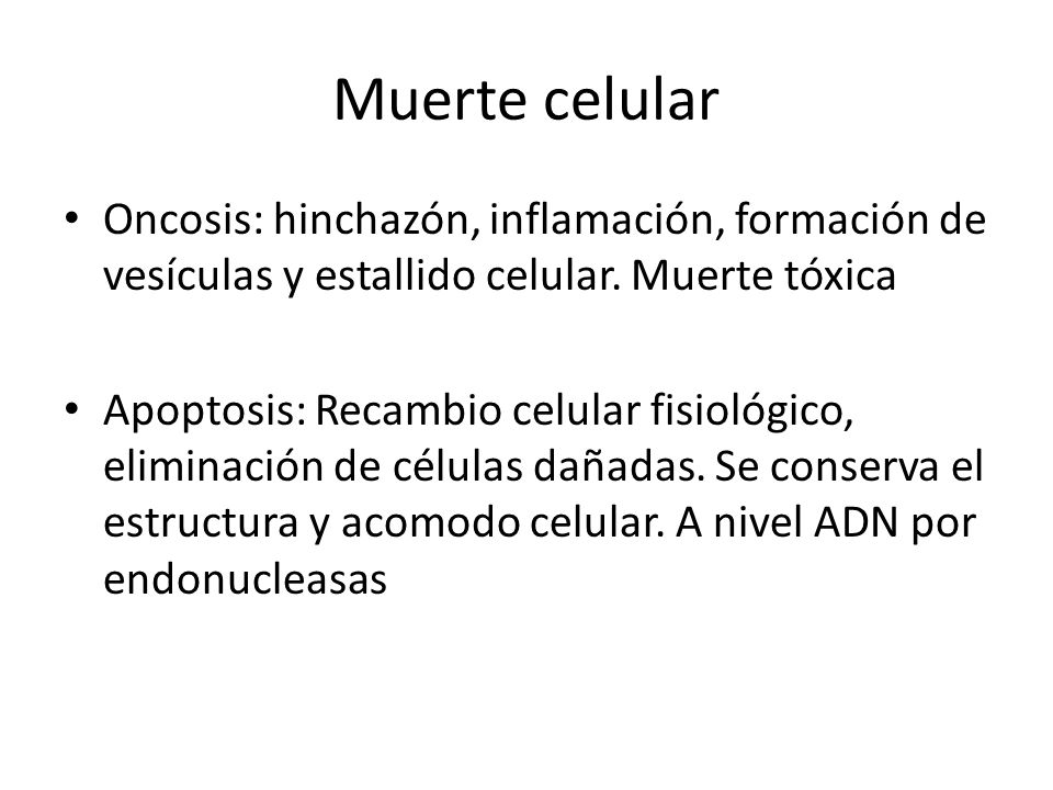 Muerte celular Oncosis: hinchazón, inflamación, formación de vesículas y estallido celular. Muerte tóxica.