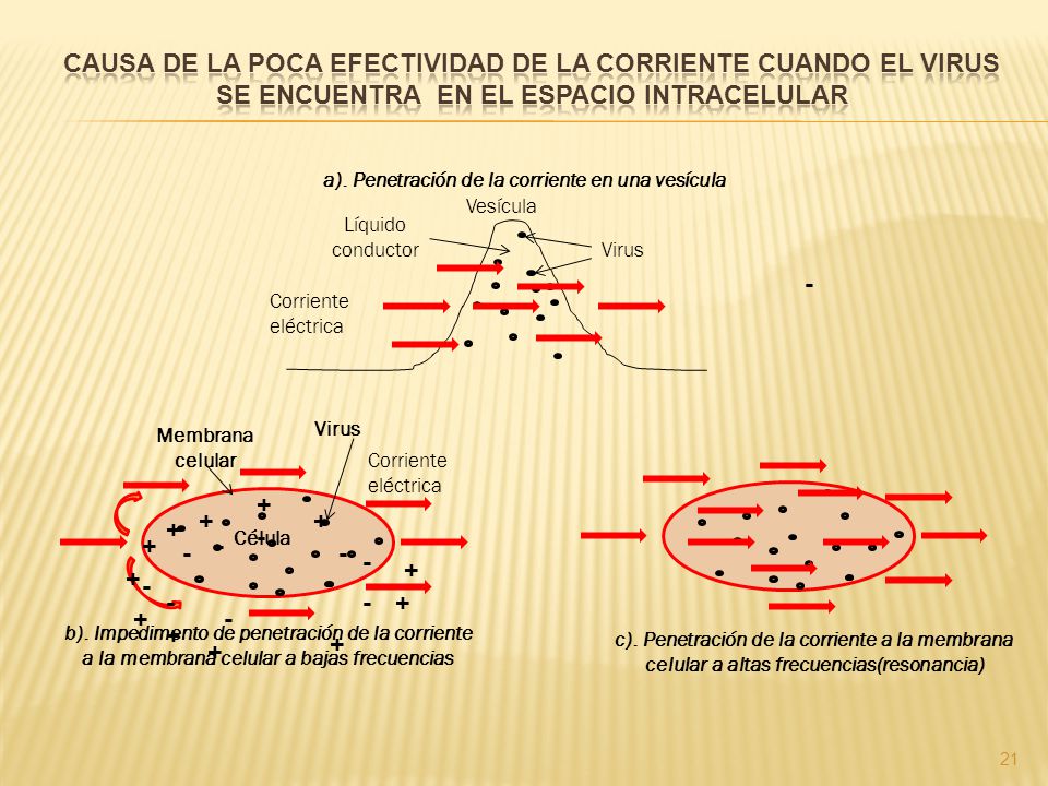 CAUSA DE LA POCA EFECTIVIDAD DE LA CORRIENTE CUANDO EL VIRUS SE ENCUENTRA EN EL ESPACIO INTRACELULAR