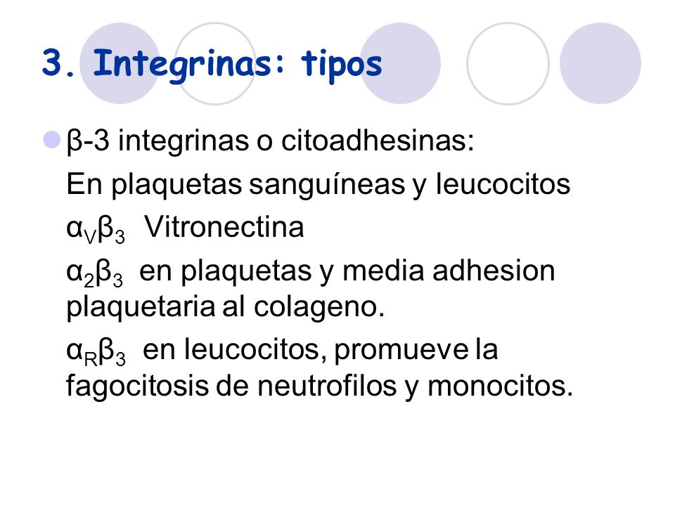 3. Integrinas: tipos β-3 integrinas o citoadhesinas: