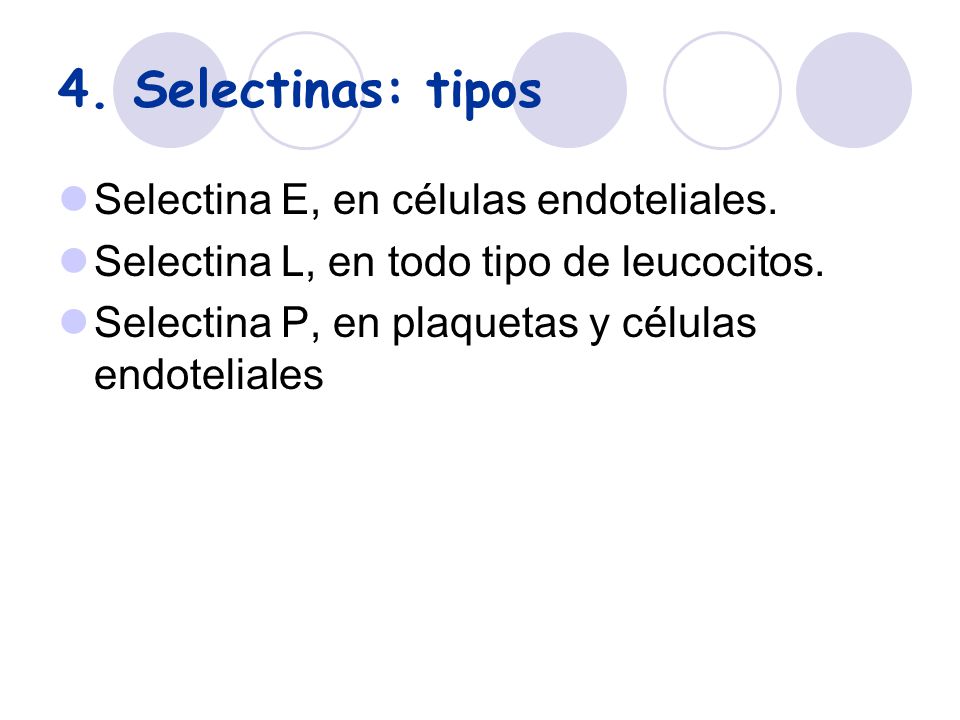 4. Selectinas: tipos Selectina E, en células endoteliales.
