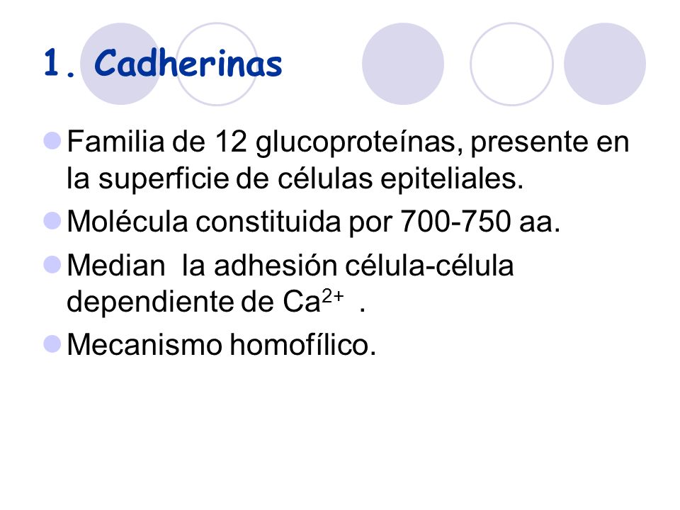 1. Cadherinas Familia de 12 glucoproteínas, presente en la superficie de células epiteliales. Molécula constituida por aa.