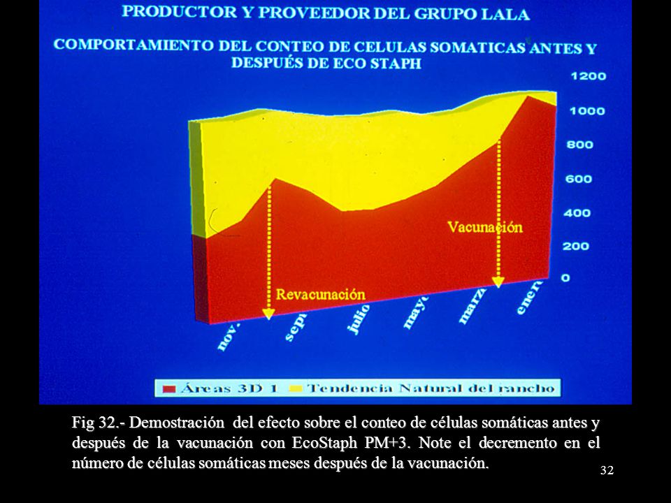 Fig 32.- Demostración del efecto sobre el conteo de células somáticas antes y después de la vacunación con EcoStaph PM+3.