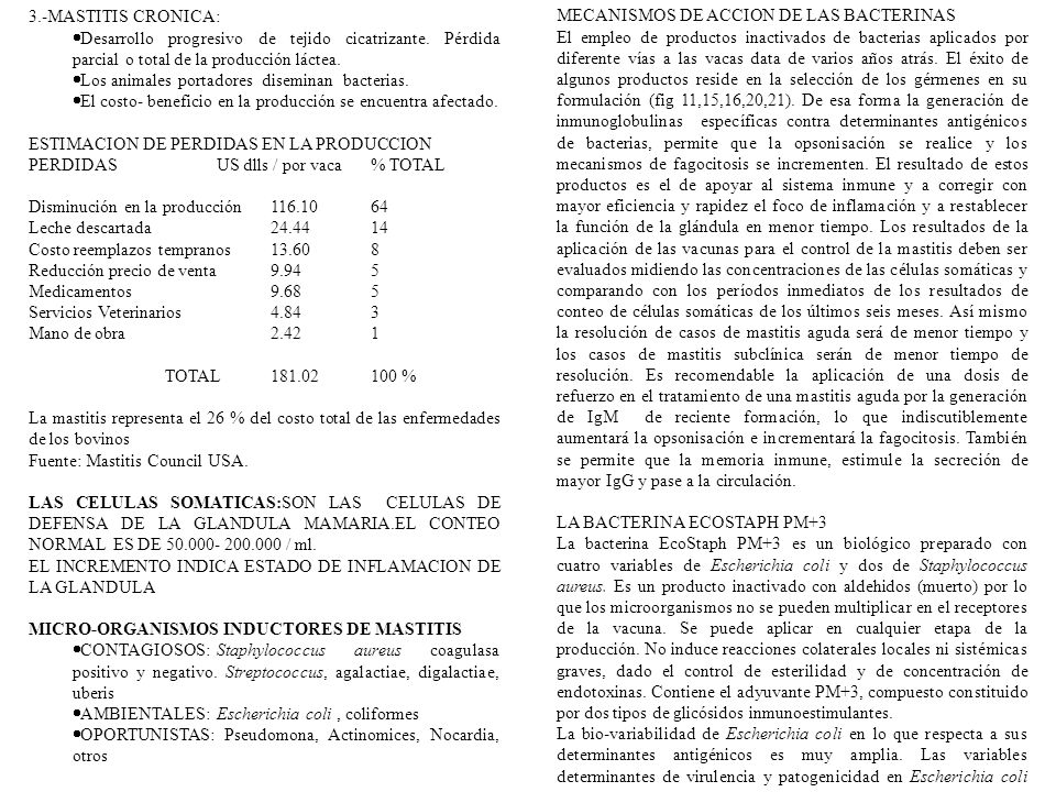3.-MASTITIS CRONICA: Desarrollo progresivo de tejido cicatrizante. Pérdida parcial o total de la producción láctea.